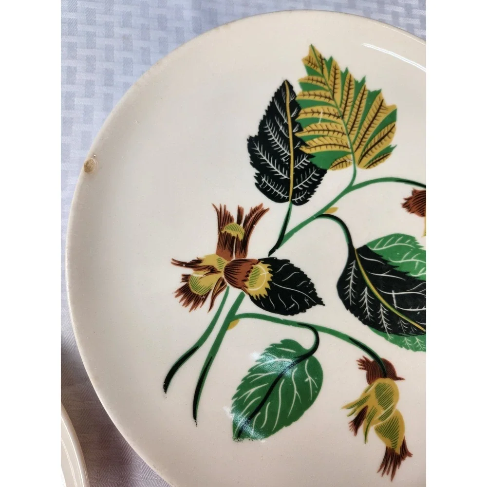 Ballerina China Hazelnut Potteries Leaves & Nuts Set of 8 Dinner Plates